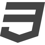 Css 3 Official SVG Icon